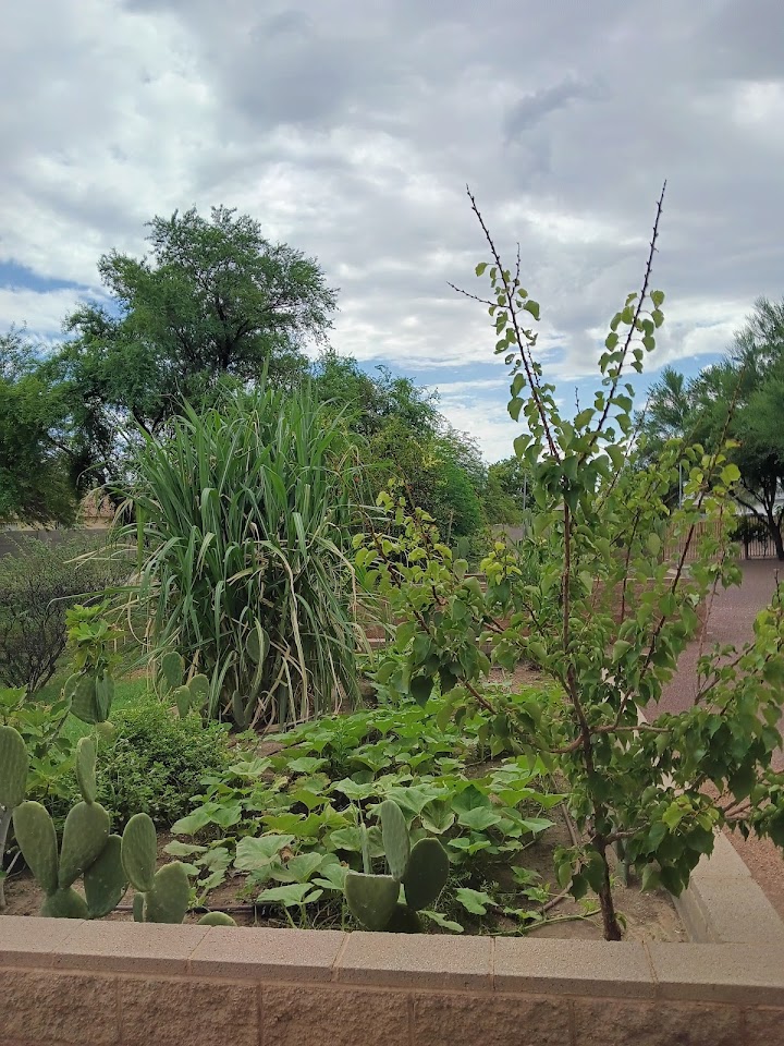 NBA Estes Gardens project